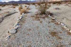 Path at Camp Coxcomb.