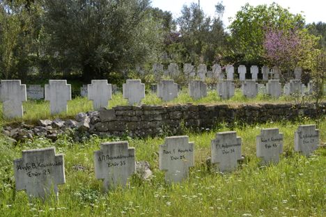 Rows of crosses in the field of execution.