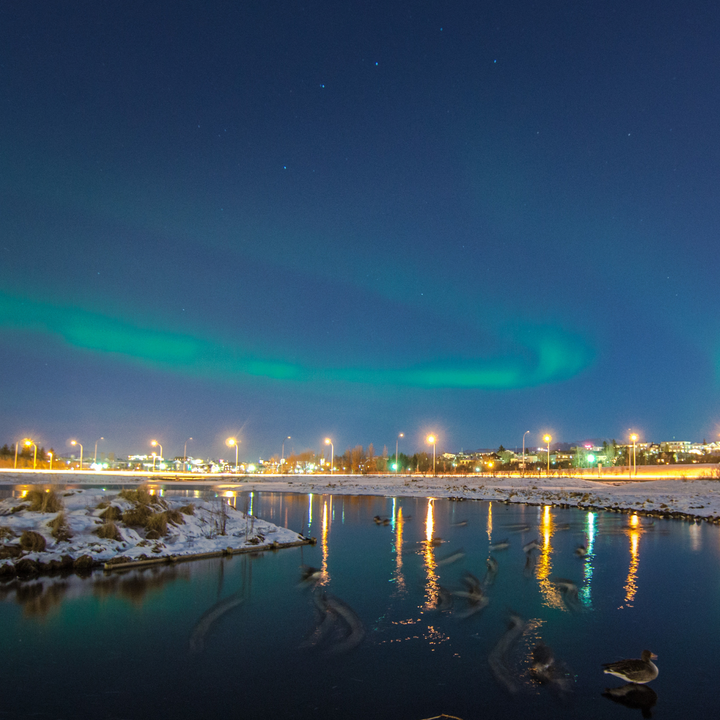 Northern Lights over Reykjavik.