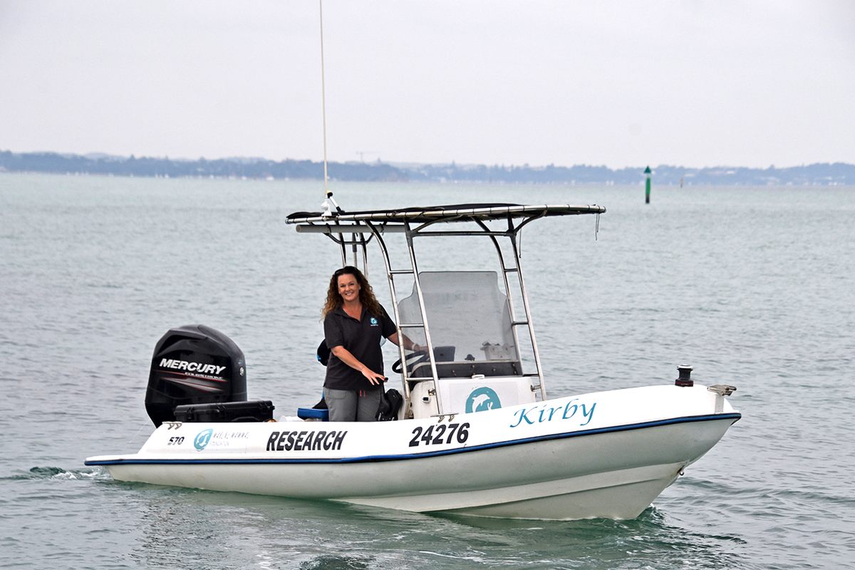 Kate Robb and her colleagues have been listening in on the dolphins.