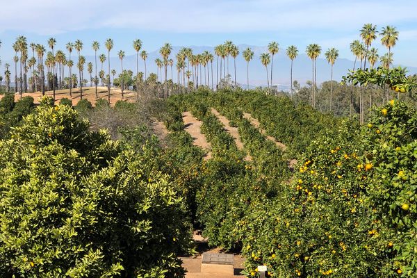 California Citrus State Historic Park