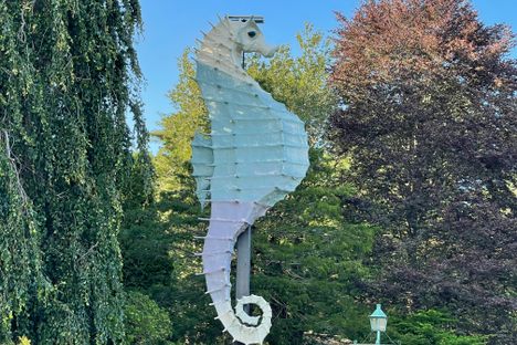 Salty the Seahorse