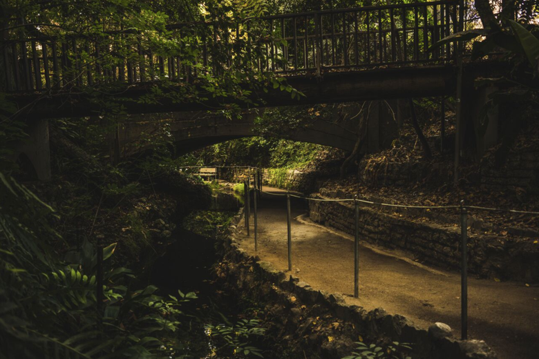 A dirt path winds through a lush, shaded ravine under a wooden footbridge at Ferndell Nature Museum.