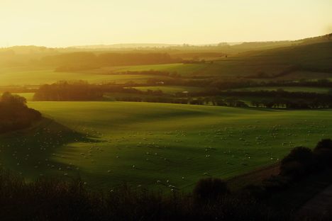 The view from Watership Down