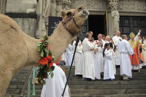 A Beastly Blessing: St. Francis Day at Manhattan's St. John the Divine