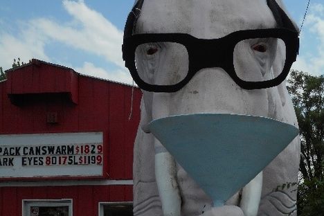 How many pink elephants wearing thick black-framed glasses sipping a martini have you seen?