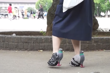 This Artist Designed Pigeon Shoes So She Could Befriend Actual Pigeons