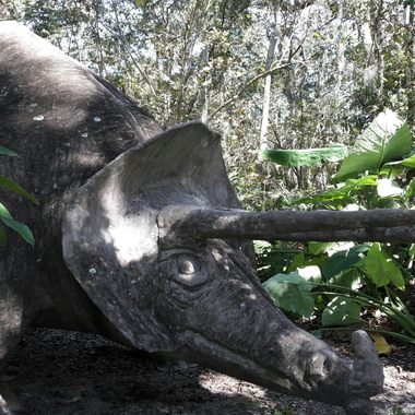 Triceratops.