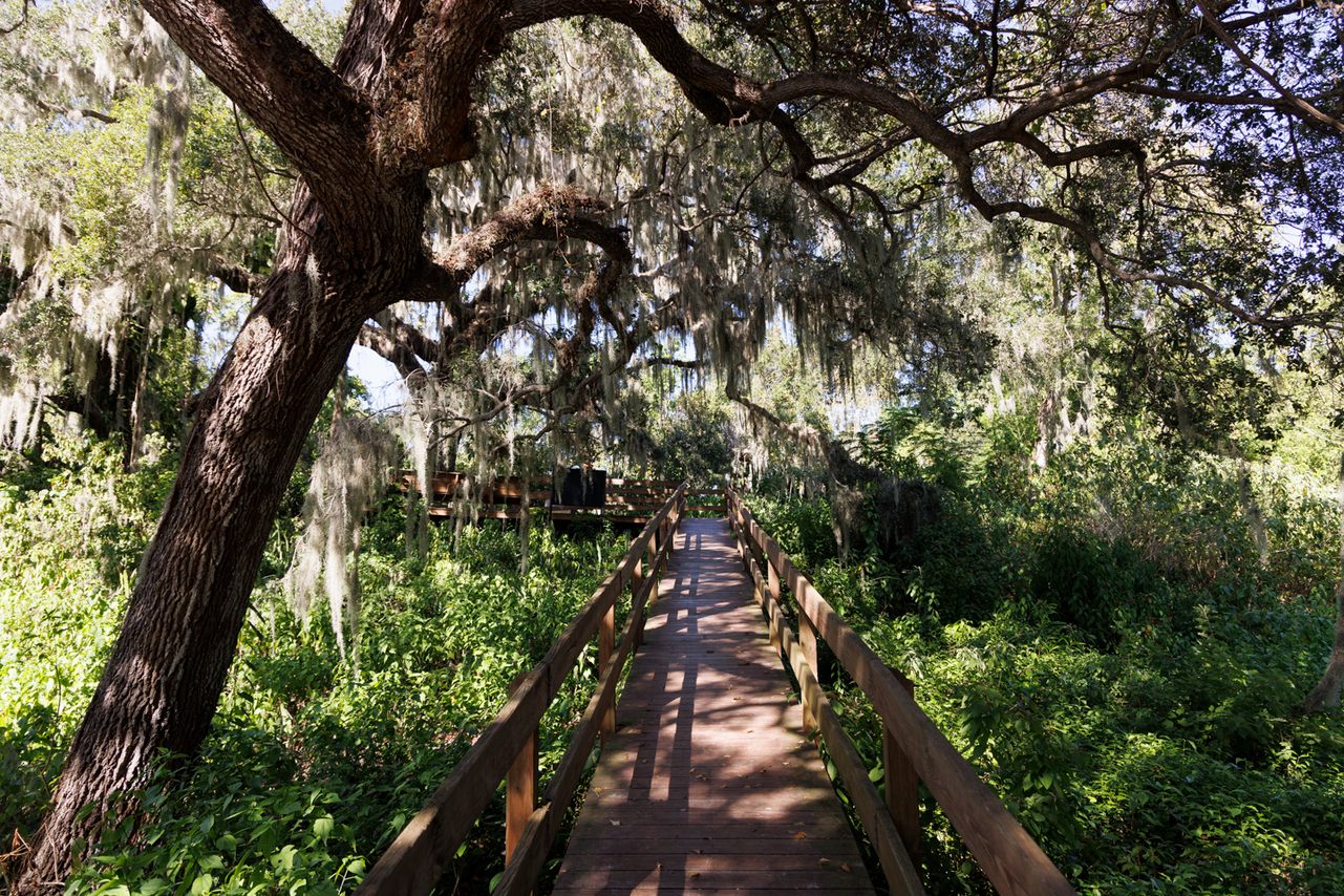 10 Reasons Why You Should Visit the Bradenton Area: From a towering ...