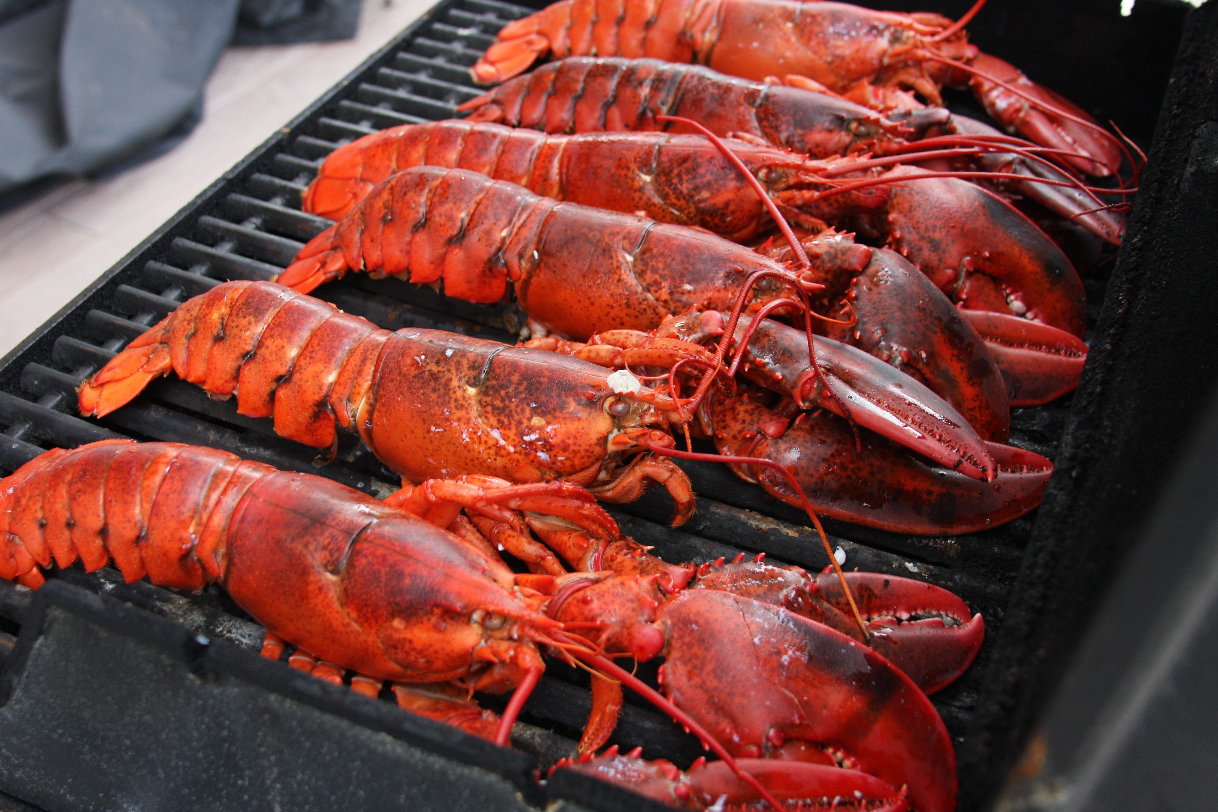 Lobsters on a grill.