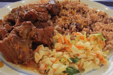 Stewed gibnut with rice and cole slaw.