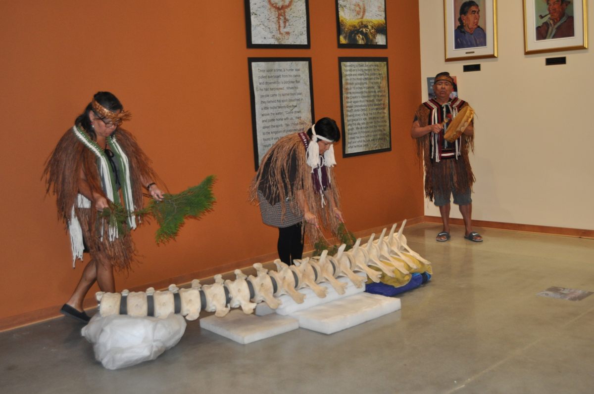 Members of the shíshálh Nation welcome and bless the vertebrae of J34 at the tems swiya Museum in Sechelt prior to the installation of its skeleton.