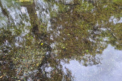 Crystal clear spring water