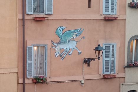 The Flying Donkey