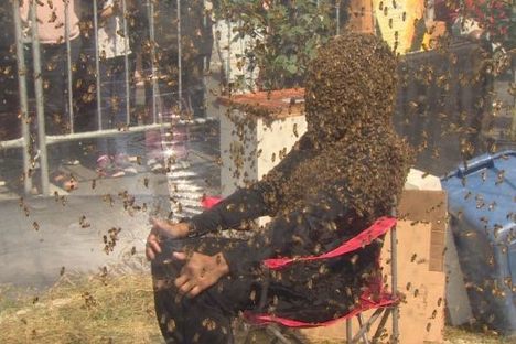 This Man Had Bees on His Face for Longer Than Anyone Else on Record