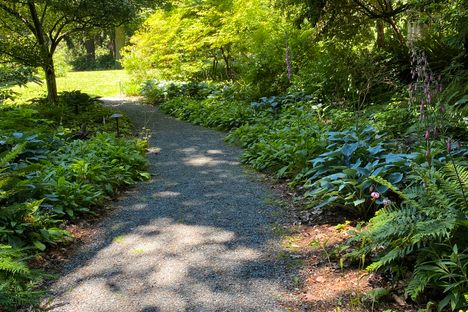 Hidden Paths & Trails