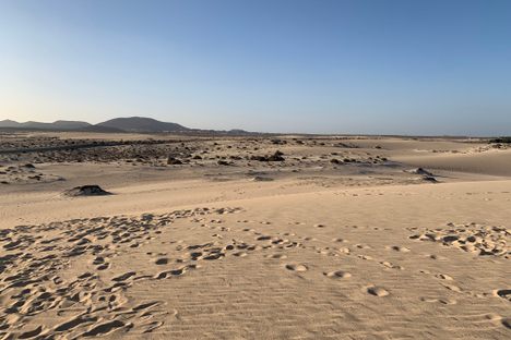Parque Natural de las Dunas de Corralejo