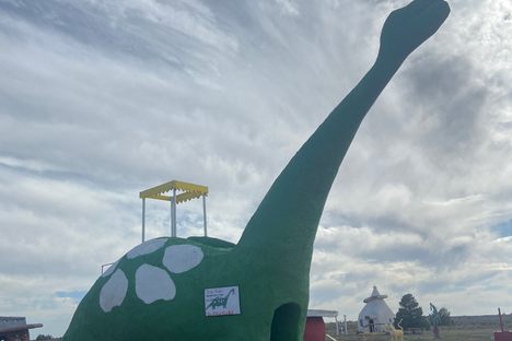 Slide-o-saurous