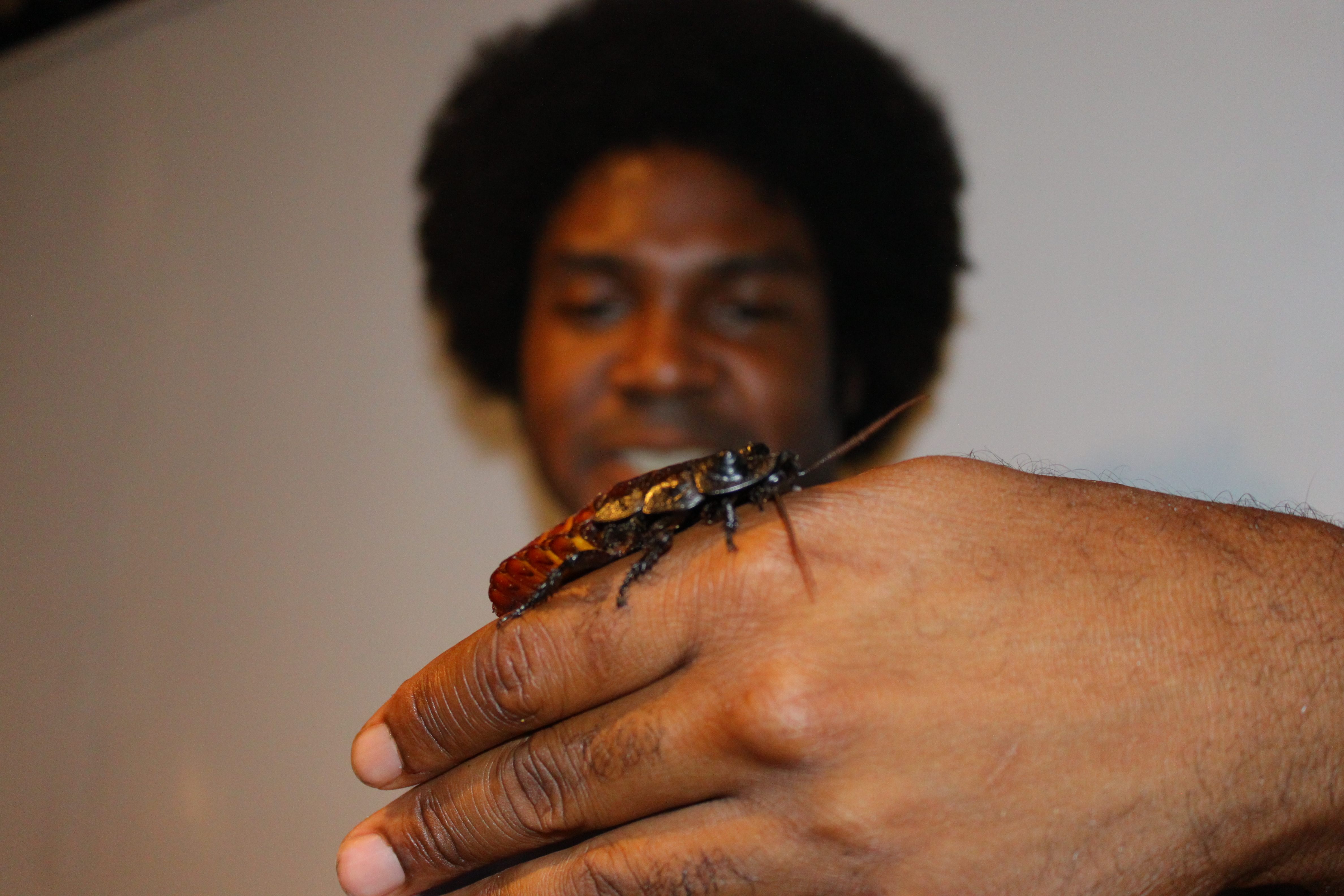 Rodriques with his pet cockroach