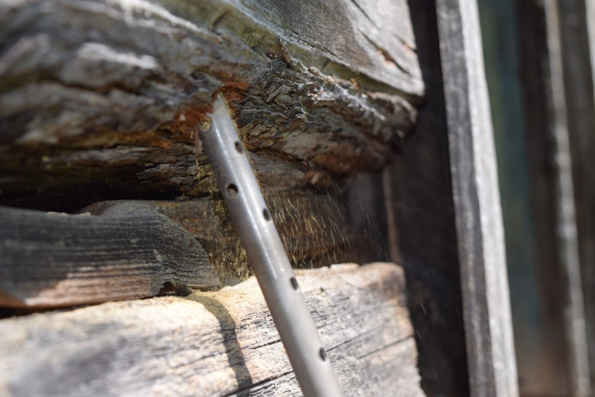 Today, dendrochronologists "core" cross-sections of timber using a hollow drill.