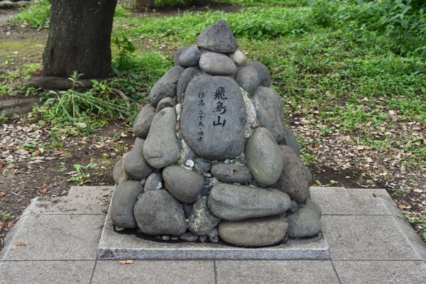 The summit.