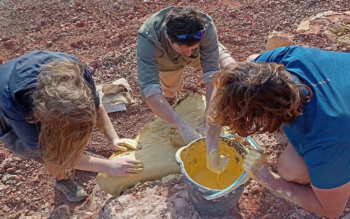 Wrapping a fossil block in a plaster jacket before it leaves the hillside.