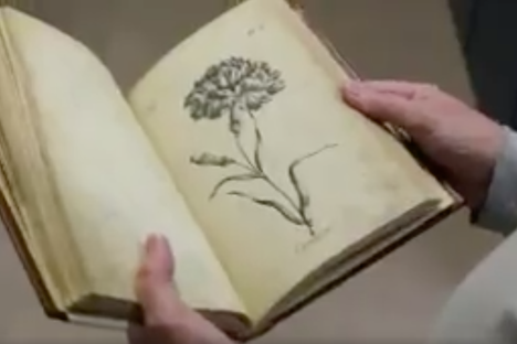A 257-Year-Old Coloring Book Was Discovered in St. Louis