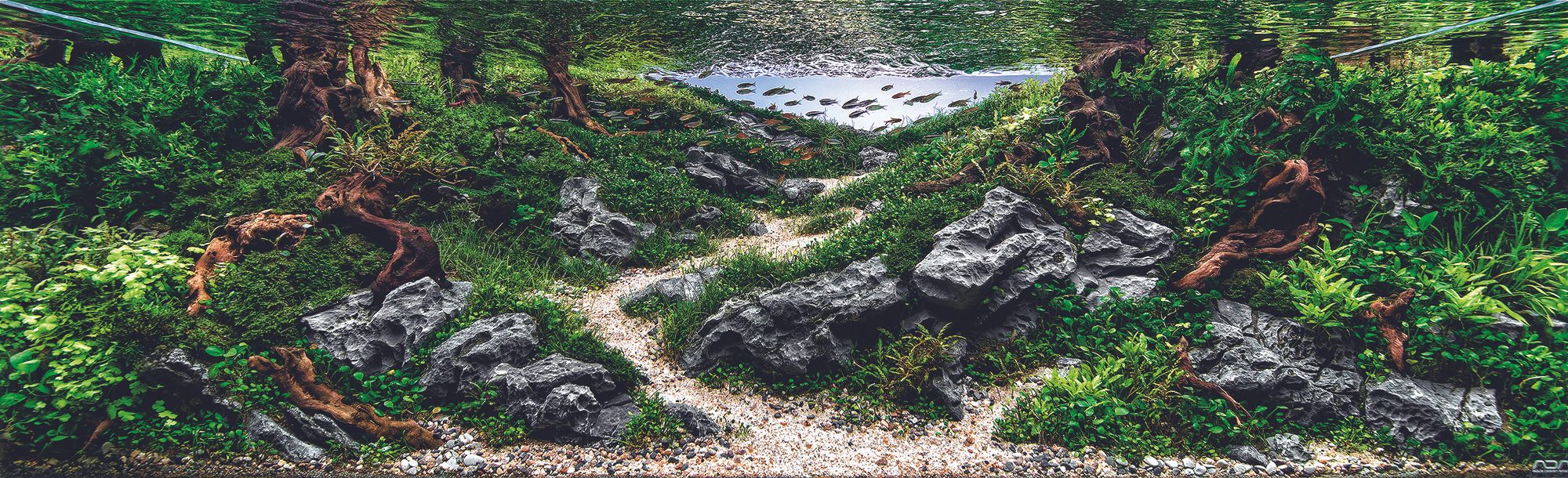 The fourth place 'scape, Paulo Pacheco's "Deep Nature," plays with perspective to make empty space look like a pond. 