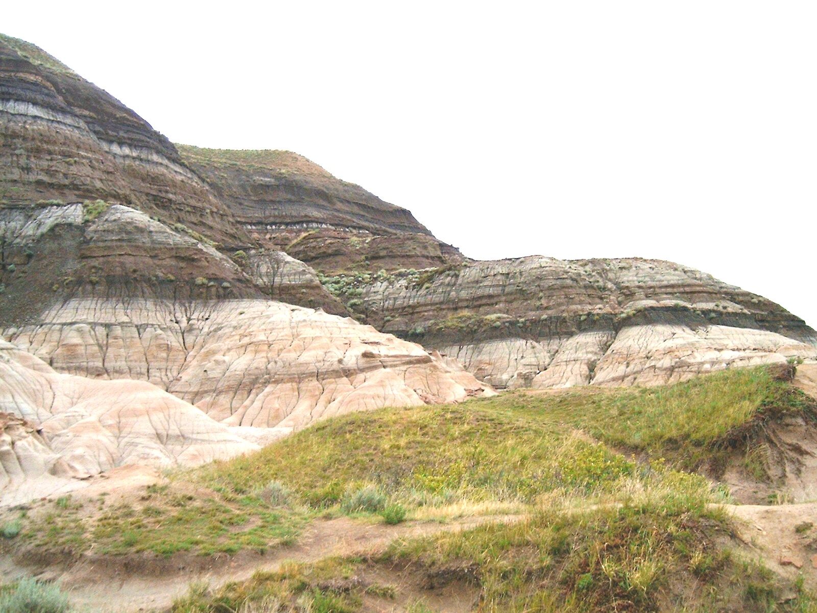 A place in Alberta where erosion has exposed the K-T boundary, the geologic moment around 66 million years ago, when dinosaurs and many other forms of life went extinct.