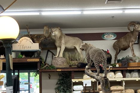 Grabill Country Sales