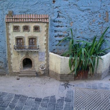 The tiny house and garden.
