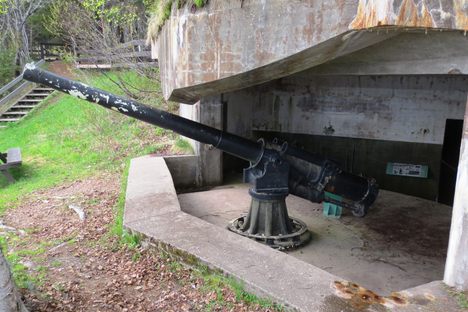 One of the two remaining QF 4.7-inch B Mark IV guns at Fort Péninsule. 
