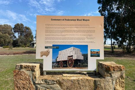 Giant Wool Wagon