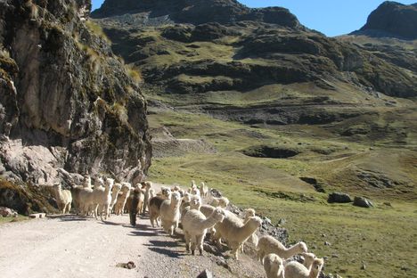 In Search of True Ecotourism in the Shadow of Machu Picchu  