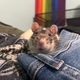 sweetbabytater profile photo