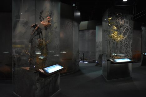 Display cases.