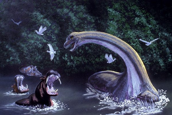 Mysteries, Oddities, and Everything Strange: Mokele-mbembe