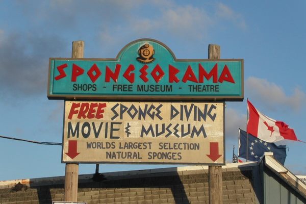 Spongeorama sign