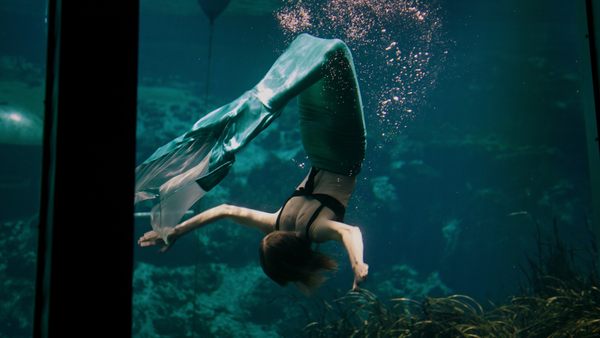 Atlas Obscura Tries: Mermaid Camp - Atlas Obscura