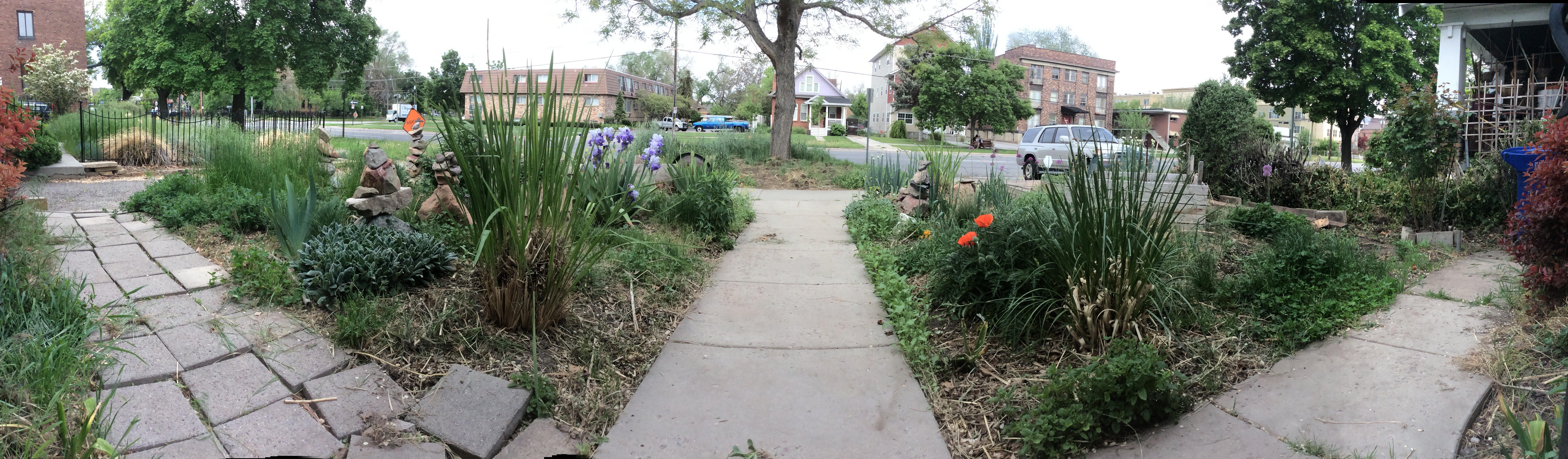 There are wonders to be found just outside your front door, year after year.
