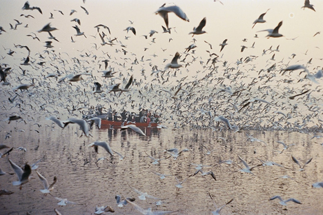 Yamuna Ghat