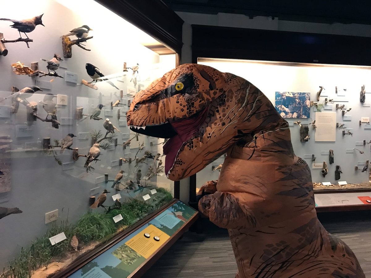 A quarantine-era family reunion, of sorts, at the Field Museum.