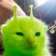 Beanns profile photo