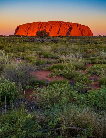 The changing colors of Uluru at sunset. The famous gigantic monolith rock in the Australian desert. 