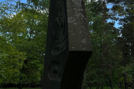 Back view