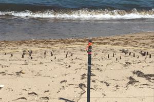 Photo of Edgartown