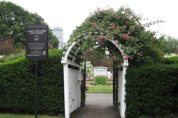 The entryway to the rose garden.