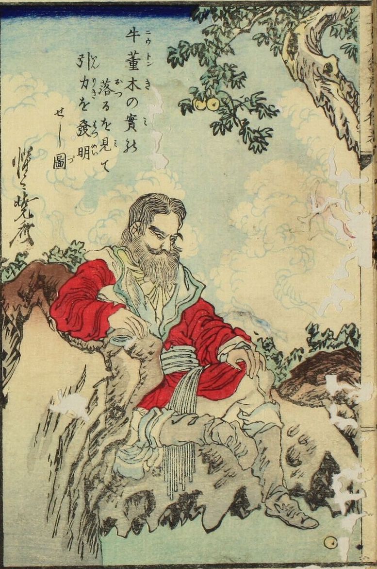 Here, Newton contemplates a small, plum-like fruit—not an apple.