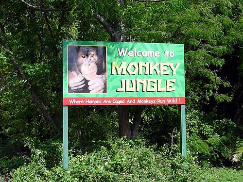 Monkey Jungle – Park Review