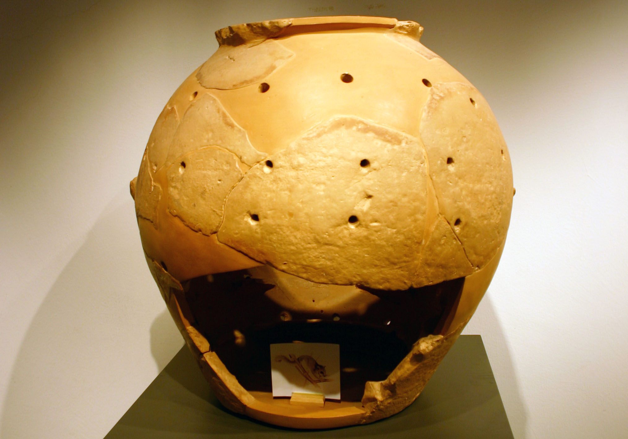 A glirarium on display at the National Archaeological Museum in Chiusi.